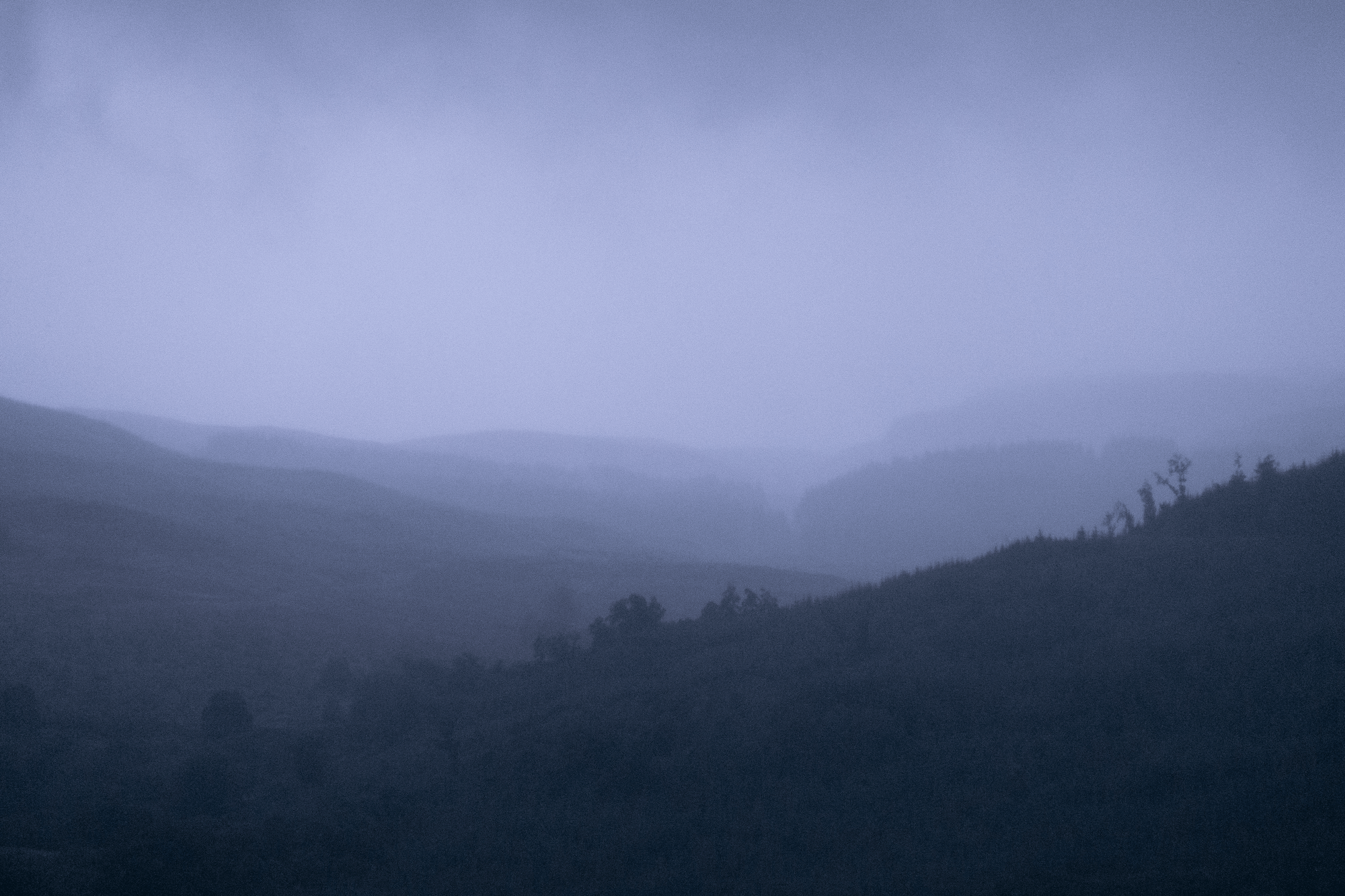 Misty hills shrouded in a soft blue-gray fog, with silhouettes of trees on the horizon.