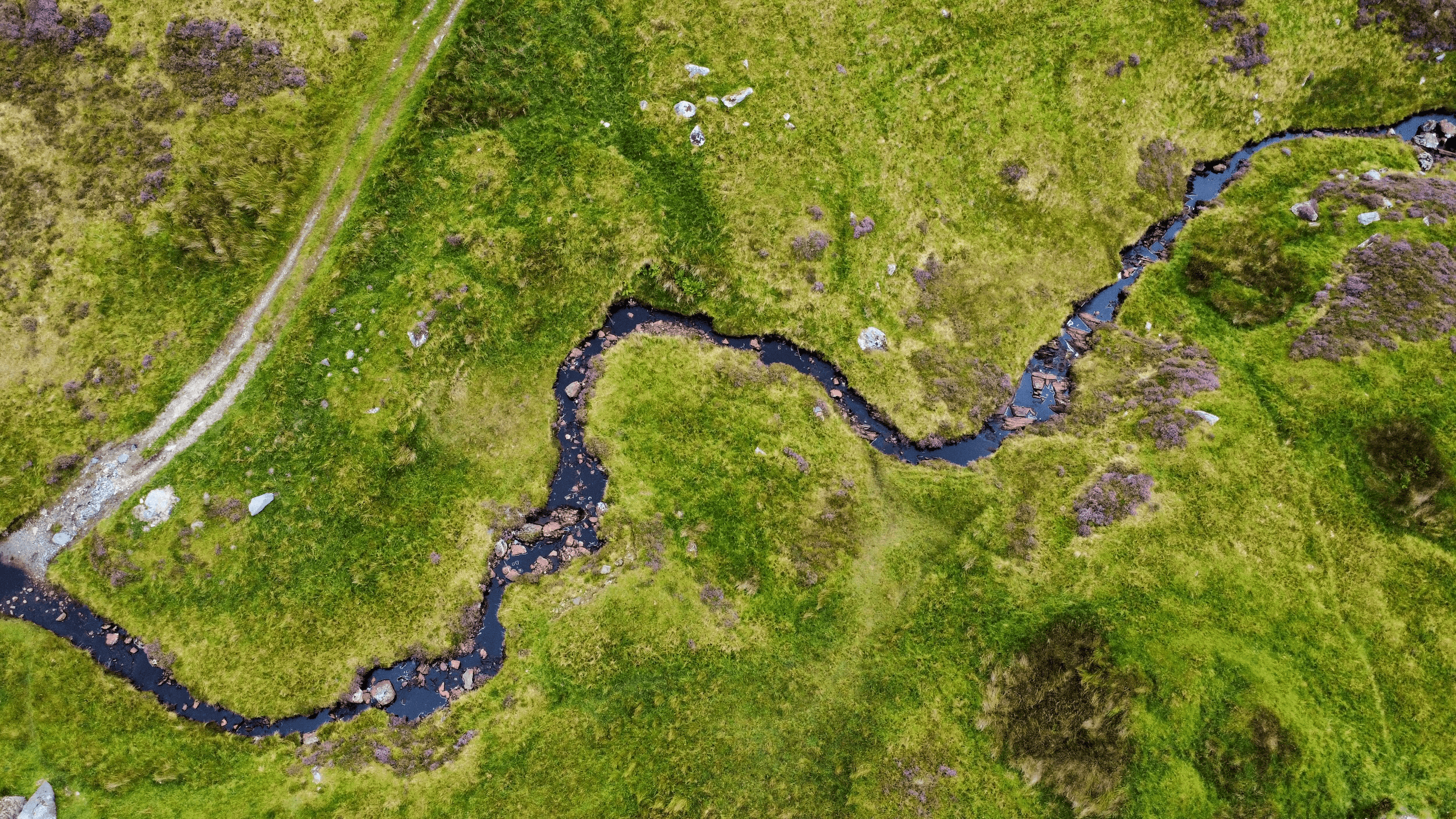 Aerial view of a winding river flowing through lush green landscape.