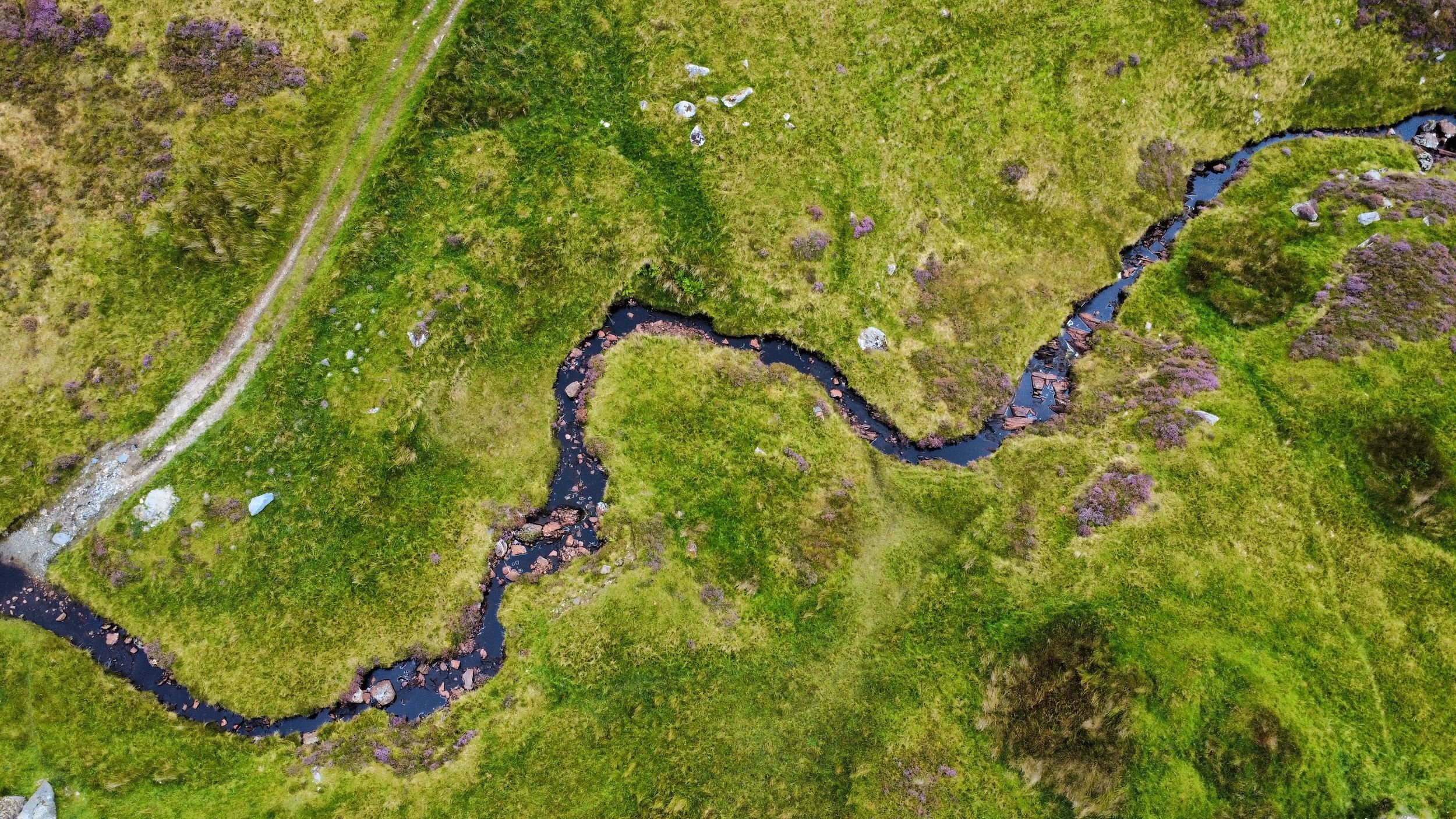 Aerial view of a winding river flowing through lush green landscape.